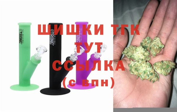 дживик Арсеньев