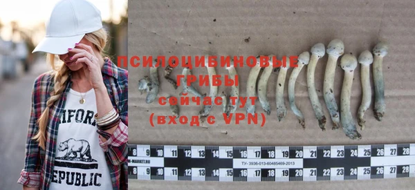 дживик Арсеньев