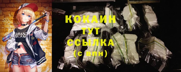 дживик Арсеньев