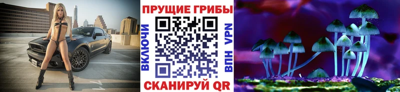 купить наркотики цена  МЕГА ссылки  Псилоцибиновые грибы прущие грибы  Краснотурьинск 